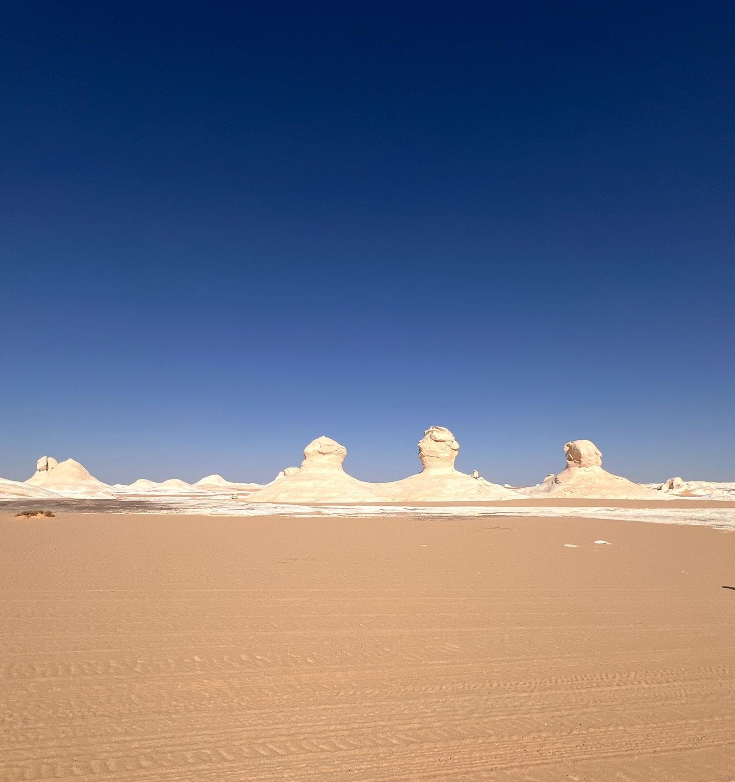 WhatsApp Image 2025-12-15 at 7.57.29 PM