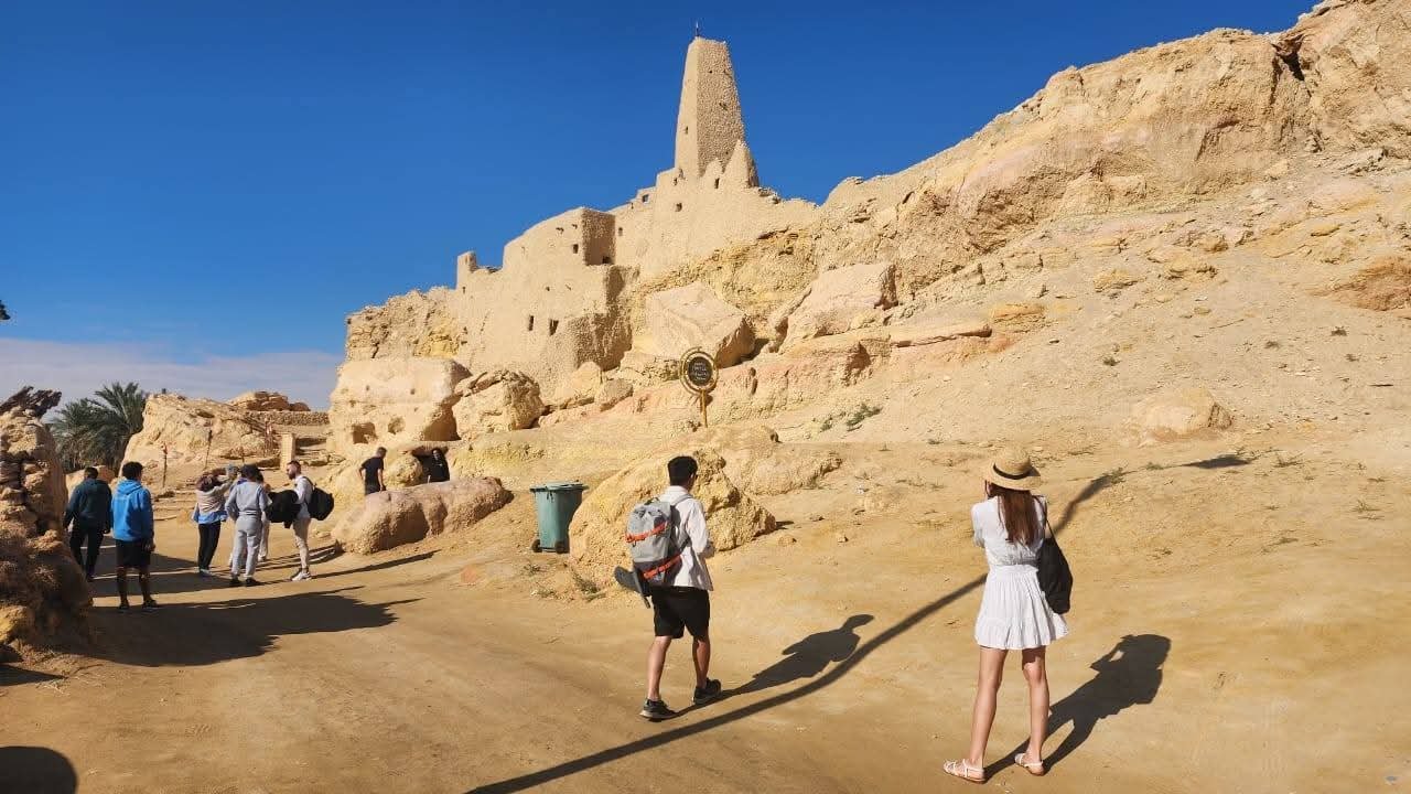 WhatsApp Image 2025-12-15 at 7.58.02 PM